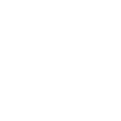 WordPress Webdesign Dexheim Deutschland